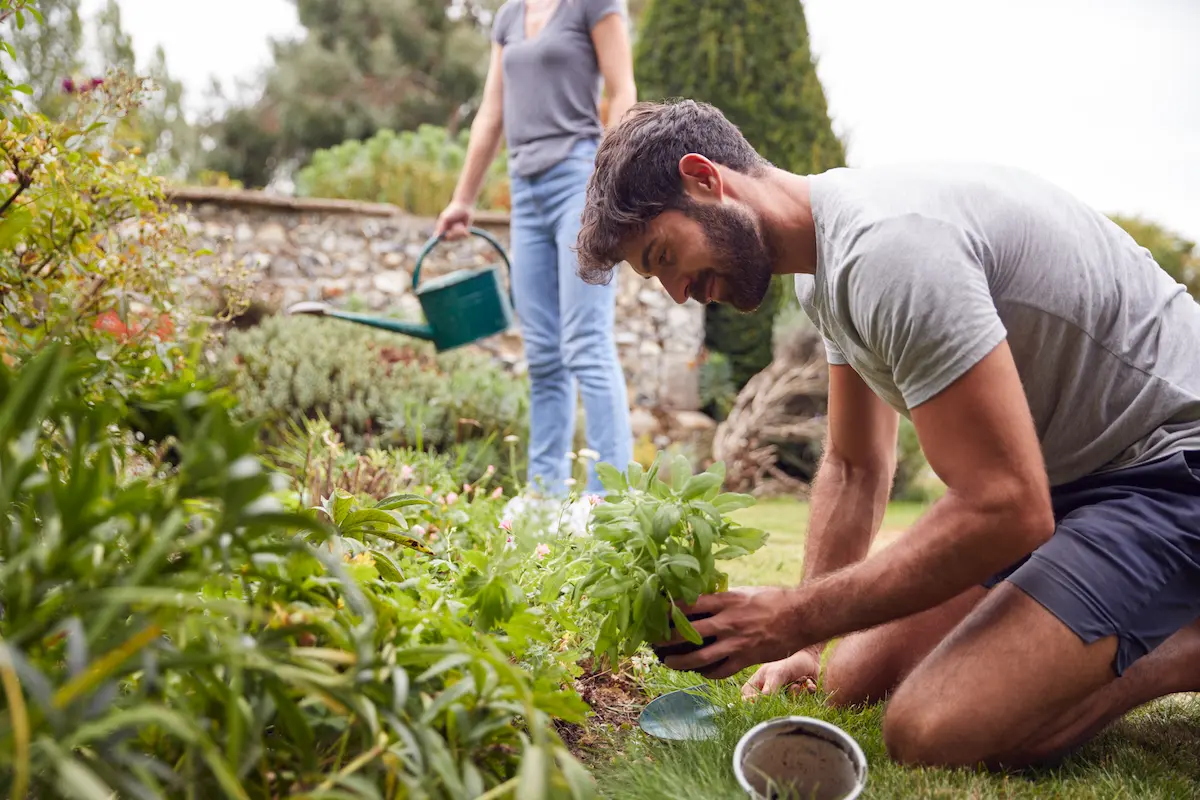 National Garden Month: How Gardening & Agriculture Grow Together