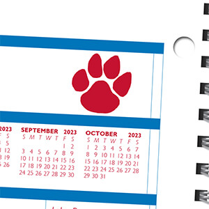 Composite-01-Mascot