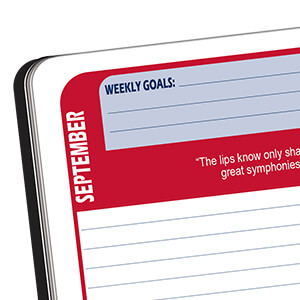 Snapshot-06-Goals