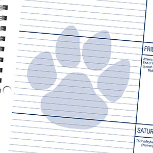 Streamline-01-Mascot